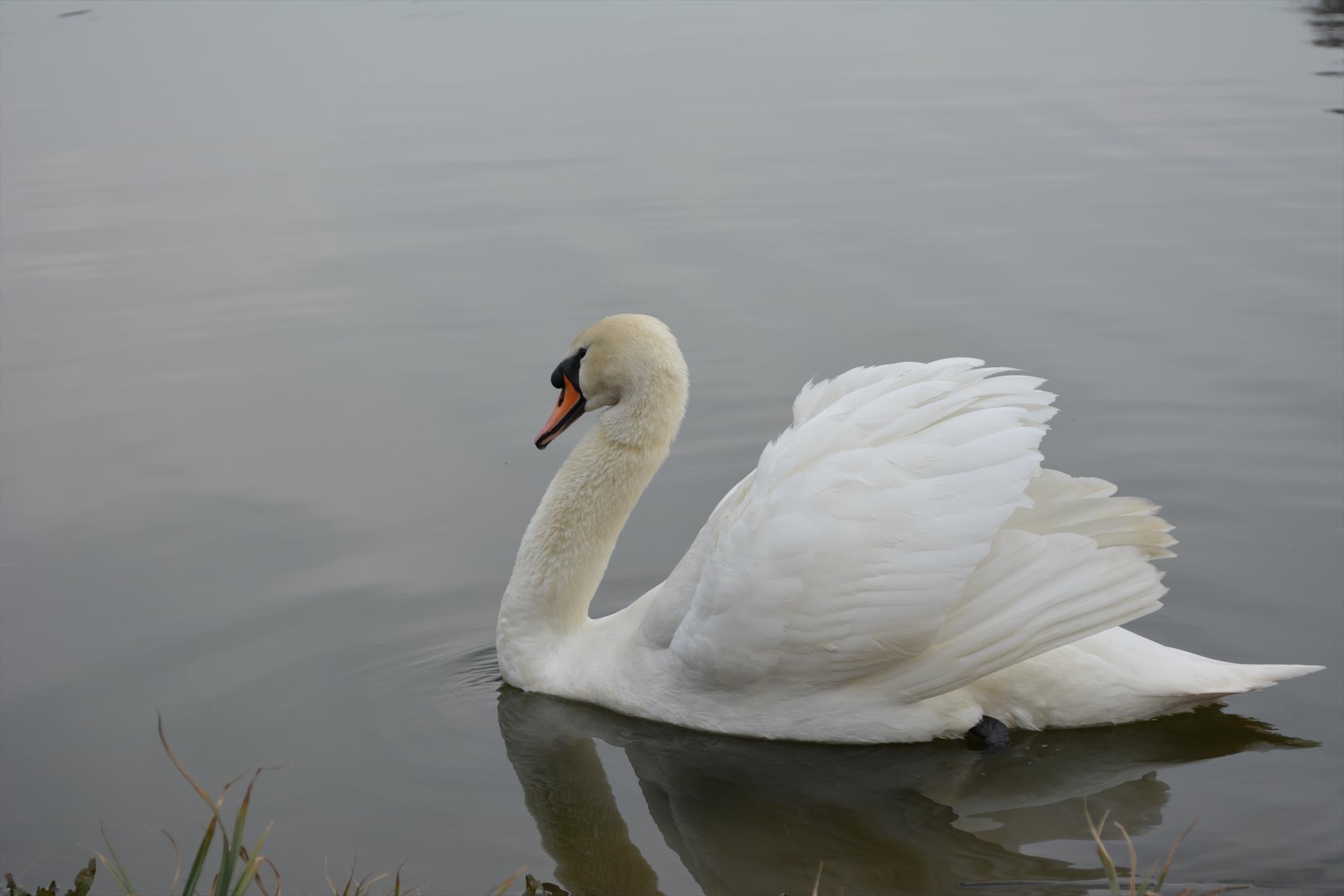 Pescuit :) - dsc0048.JPG